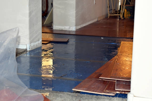 Professional Sewage Cleanup technician working in Bangor, MI